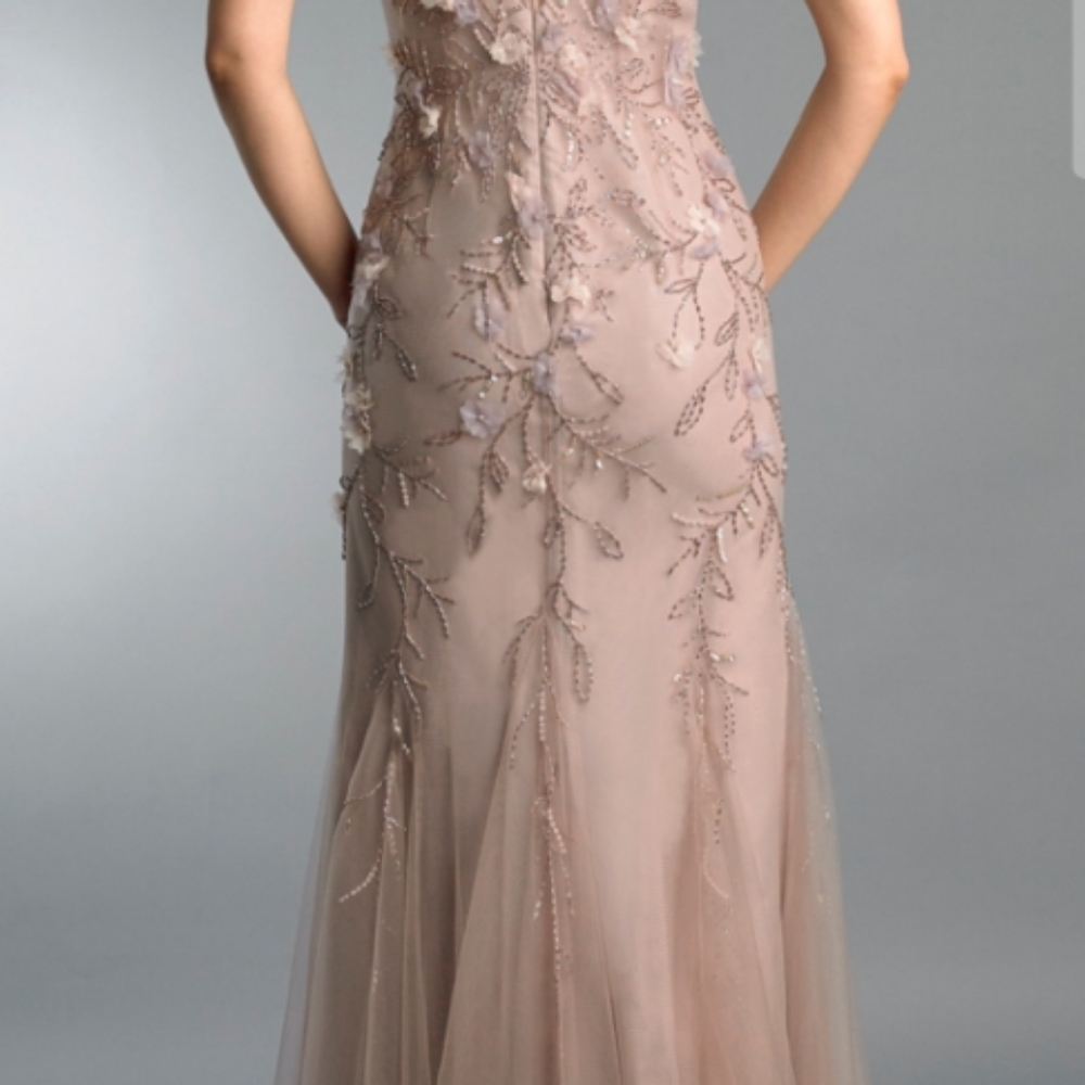 14 Basix Black Label Mauve V-Neck Sleveless Floral Applique Gown